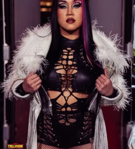 Image 23667021 from Women of Professional Wrestling