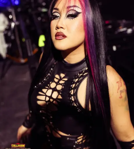 Image 23667024 from Women of Professional Wrestling