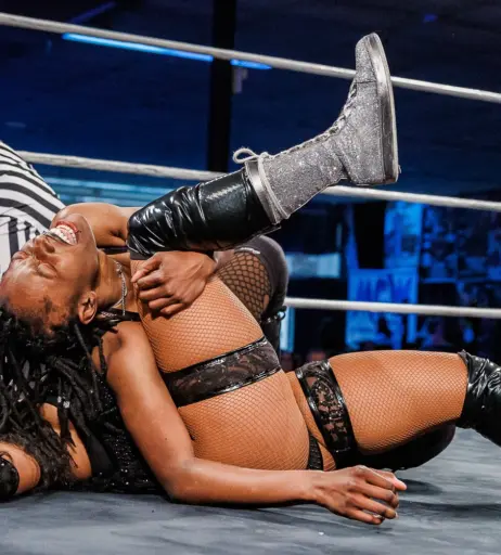 Image 23667062 from Women of Professional Wrestling