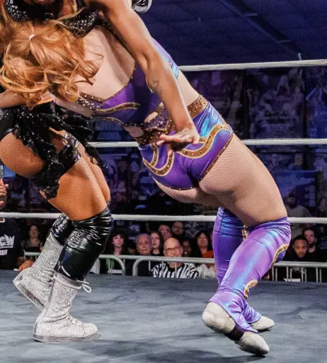 Image 23667067 from Women of Professional Wrestling