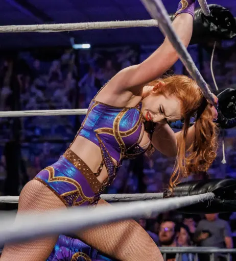 Image 23667064 from Women of Professional Wrestling