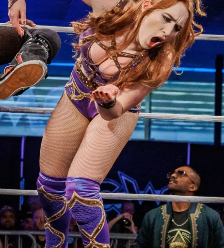 Image 23667077 from Women of Professional Wrestling