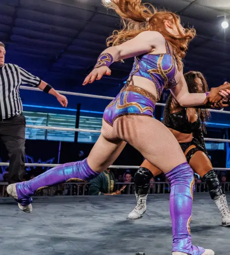 Image 23667076 from Women of Professional Wrestling