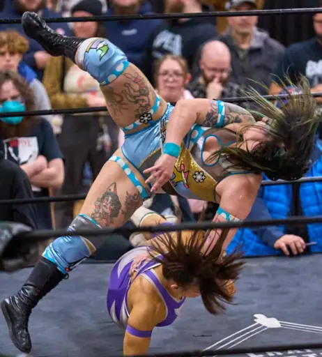 Image 23667307 from Women of Professional Wrestling