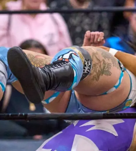 Image 23667309 from Women of Professional Wrestling