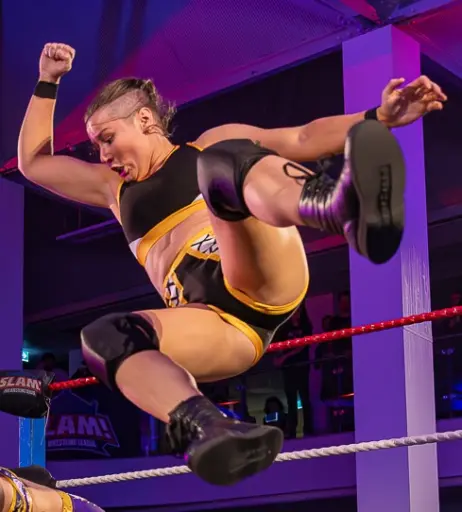 Image 23667281 from Women of Professional Wrestling