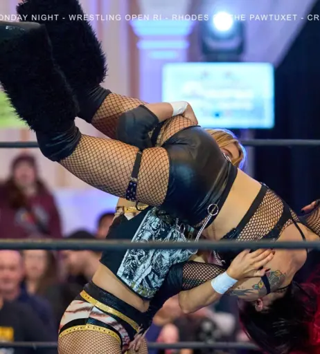 Image 23667223 from Women of Professional Wrestling