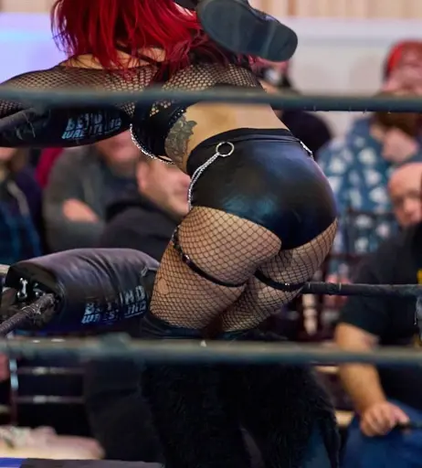 Image 23667221 from Women of Professional Wrestling