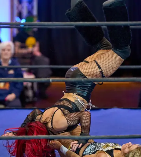 Image 23667224 from Women of Professional Wrestling