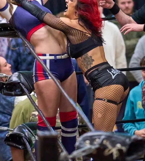 Image 23667229 from Women of Professional Wrestling