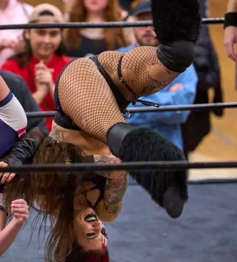Image 23667228 from Women of Professional Wrestling