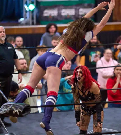Image 23667214 from Women of Professional Wrestling