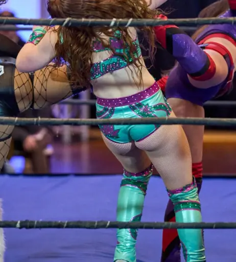Image 23667202 from Women of Professional Wrestling