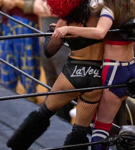 Image 23667230 from Women of Professional Wrestling