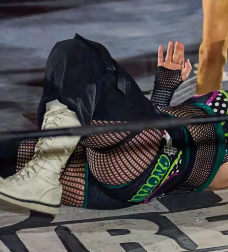 Image 23666923 from Women of Professional Wrestling