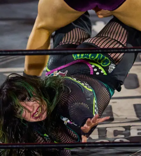 Image 23666925 from Women of Professional Wrestling