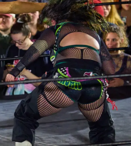 Image 23666924 from Women of Professional Wrestling