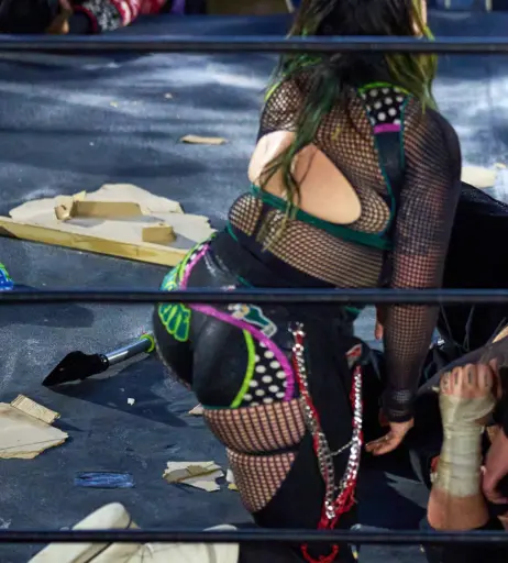 Image 23666929 from Women of Professional Wrestling