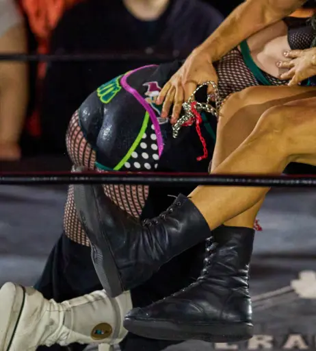 Image 23666928 from Women of Professional Wrestling