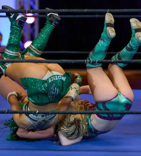 Image 23666910 from Women of Professional Wrestling