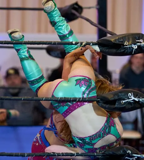 Image 23666902 from Women of Professional Wrestling
