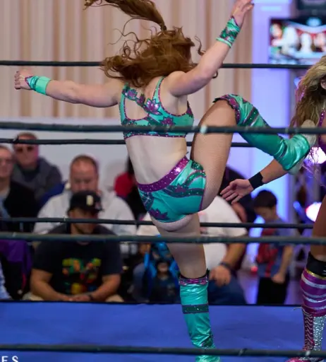 Image 23666906 from Women of Professional Wrestling