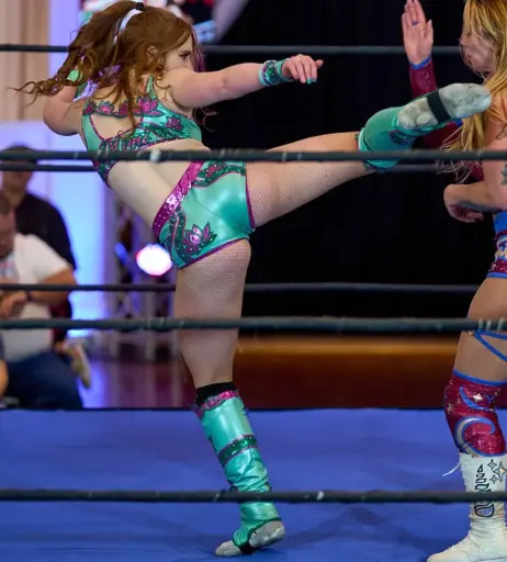 Image 23666905 from Women of Professional Wrestling
