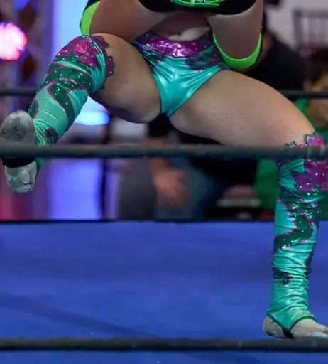 Image 23666909 from Women of Professional Wrestling