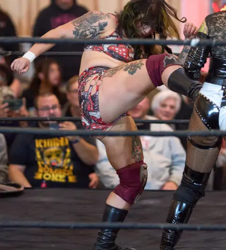 Image 23666933 from Women of Professional Wrestling