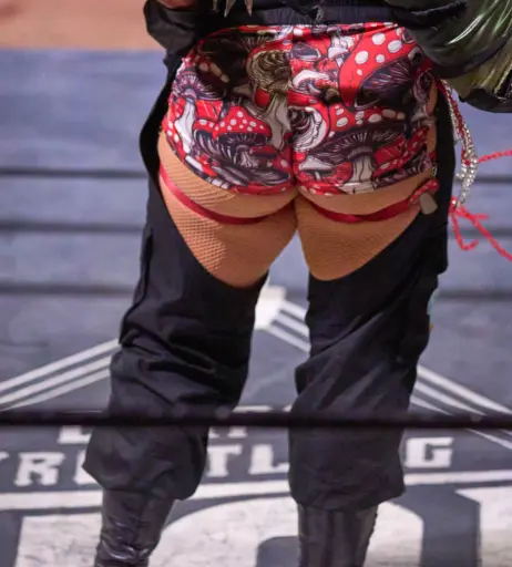 Image 23666932 from Women of Professional Wrestling