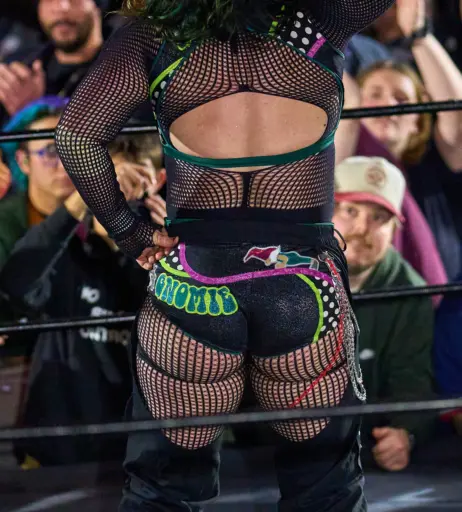 Image 23666930 from Women of Professional Wrestling