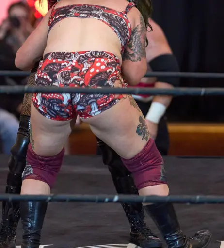 Image 23666935 from Women of Professional Wrestling