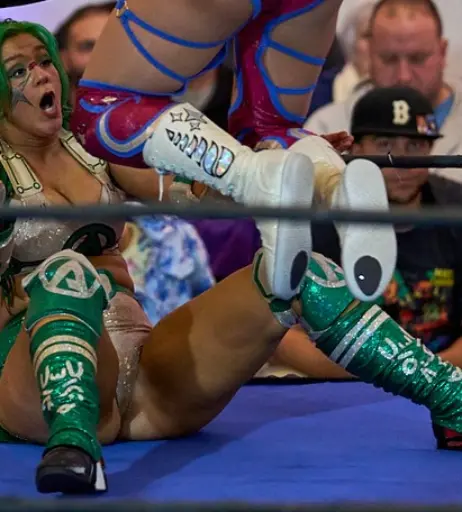 Image 23666939 from Women of Professional Wrestling