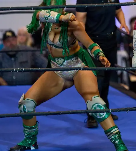 Image 23666938 from Women of Professional Wrestling