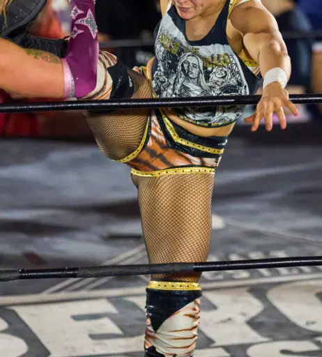 Image 23666962 from Women of Professional Wrestling