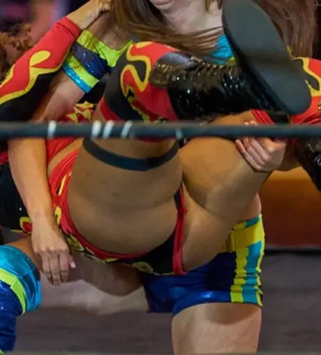 Image 23666967 from Women of Professional Wrestling