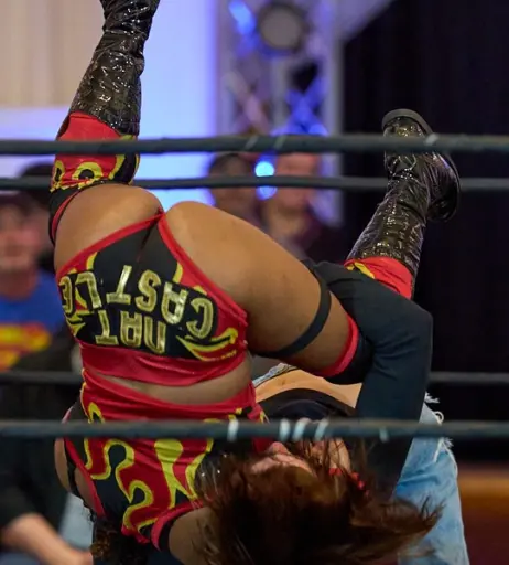 Image 23666969 from Women of Professional Wrestling