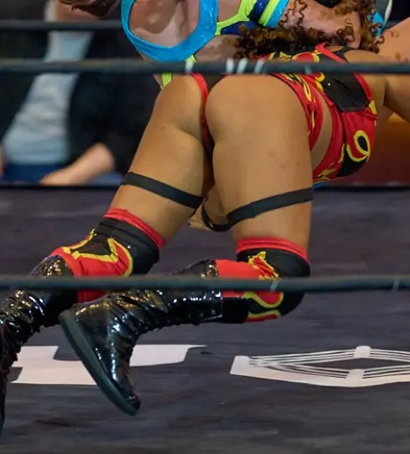 Image 23666968 from Women of Professional Wrestling