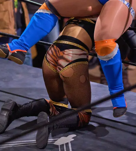 Image 23666957 from Women of Professional Wrestling