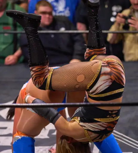Image 23666959 from Women of Professional Wrestling
