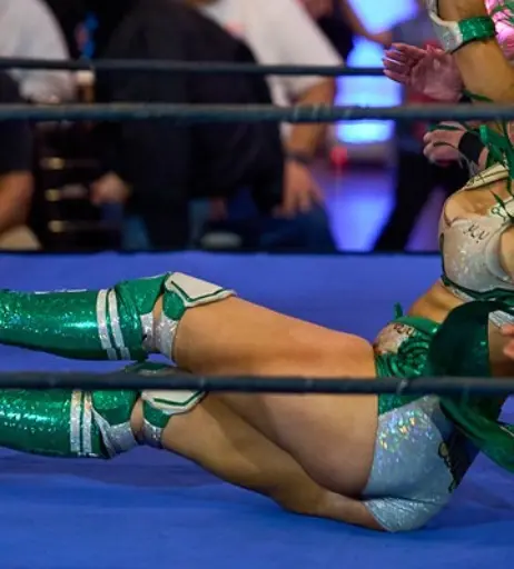 Image 23666940 from Women of Professional Wrestling