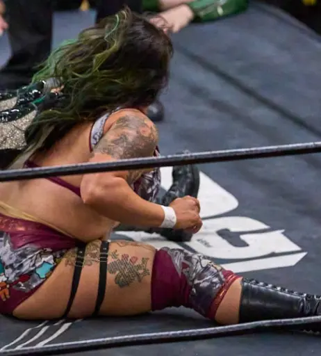 Image 23666838 from Women of Professional Wrestling