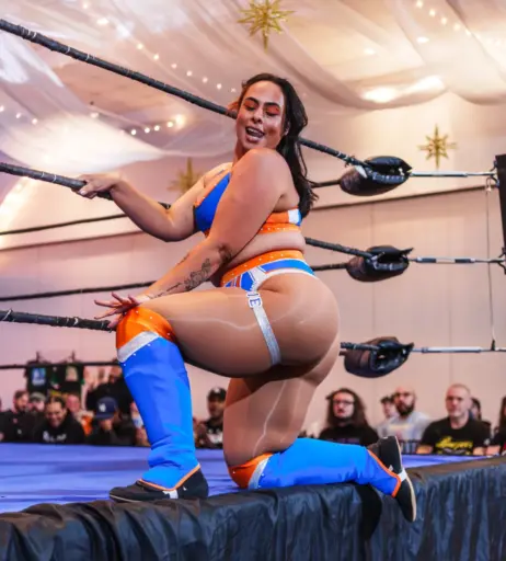 Image 23666851 from Women of Professional Wrestling