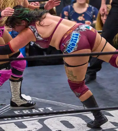 Image 23666843 from Women of Professional Wrestling