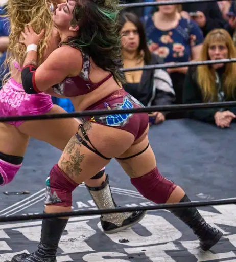 Image 23666842 from Women of Professional Wrestling