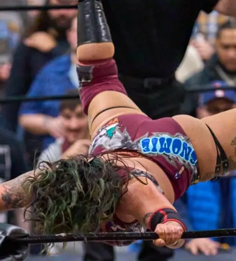 Image 23666840 from Women of Professional Wrestling