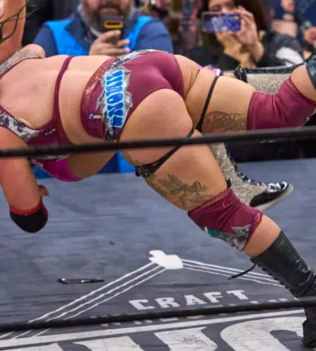 Image 23666847 from Women of Professional Wrestling