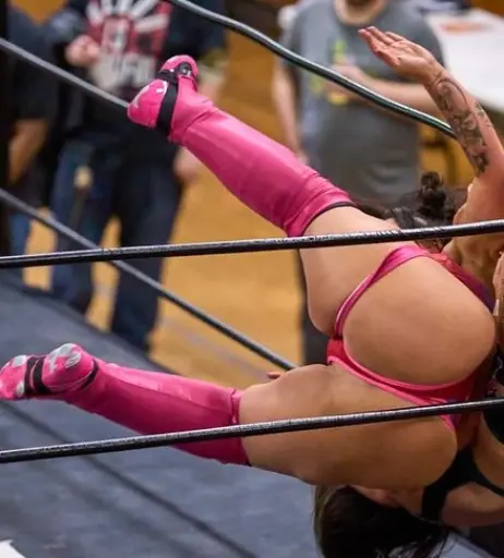 Image 23666848 from Women of Professional Wrestling