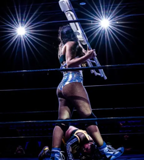Image 23666487 from Women of Professional Wrestling
