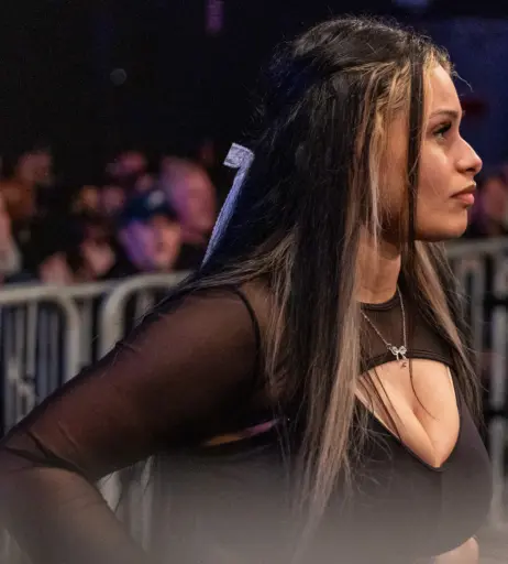 Image 23666458 from Women of Professional Wrestling